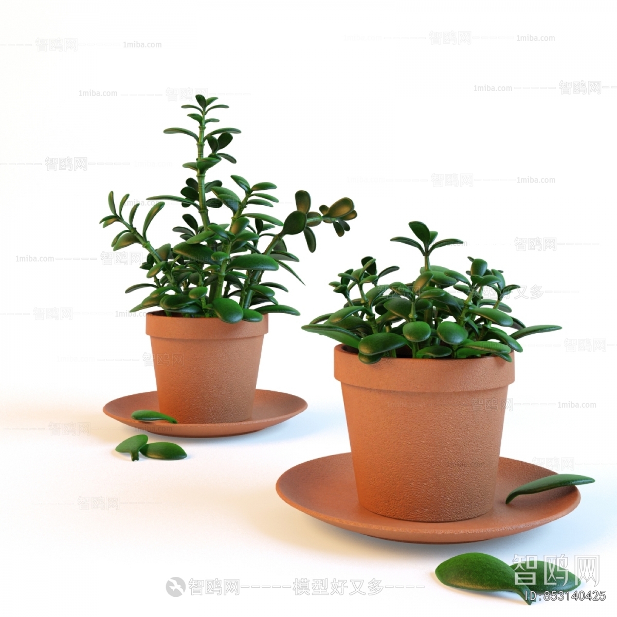 Modern Potted Green Plant