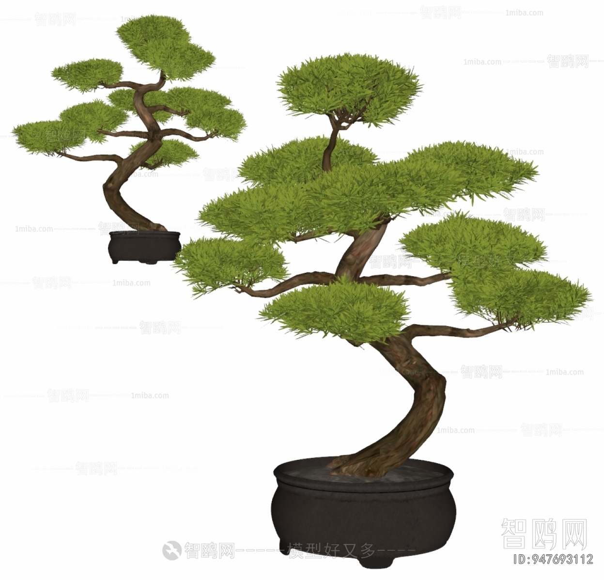 Modern Bonsai