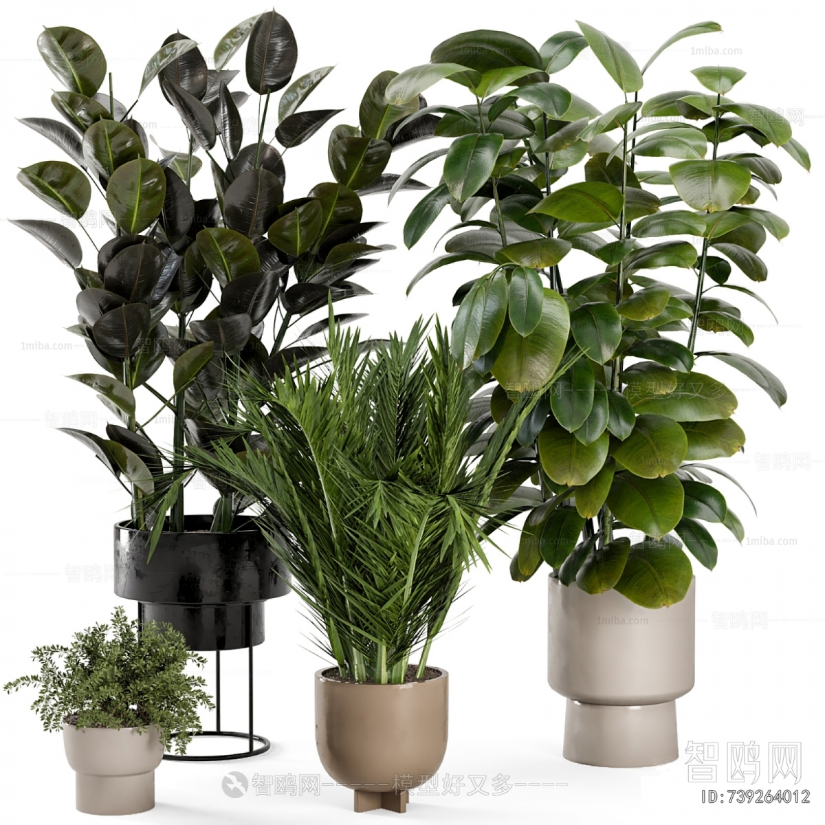 Modern Potted Green Plant