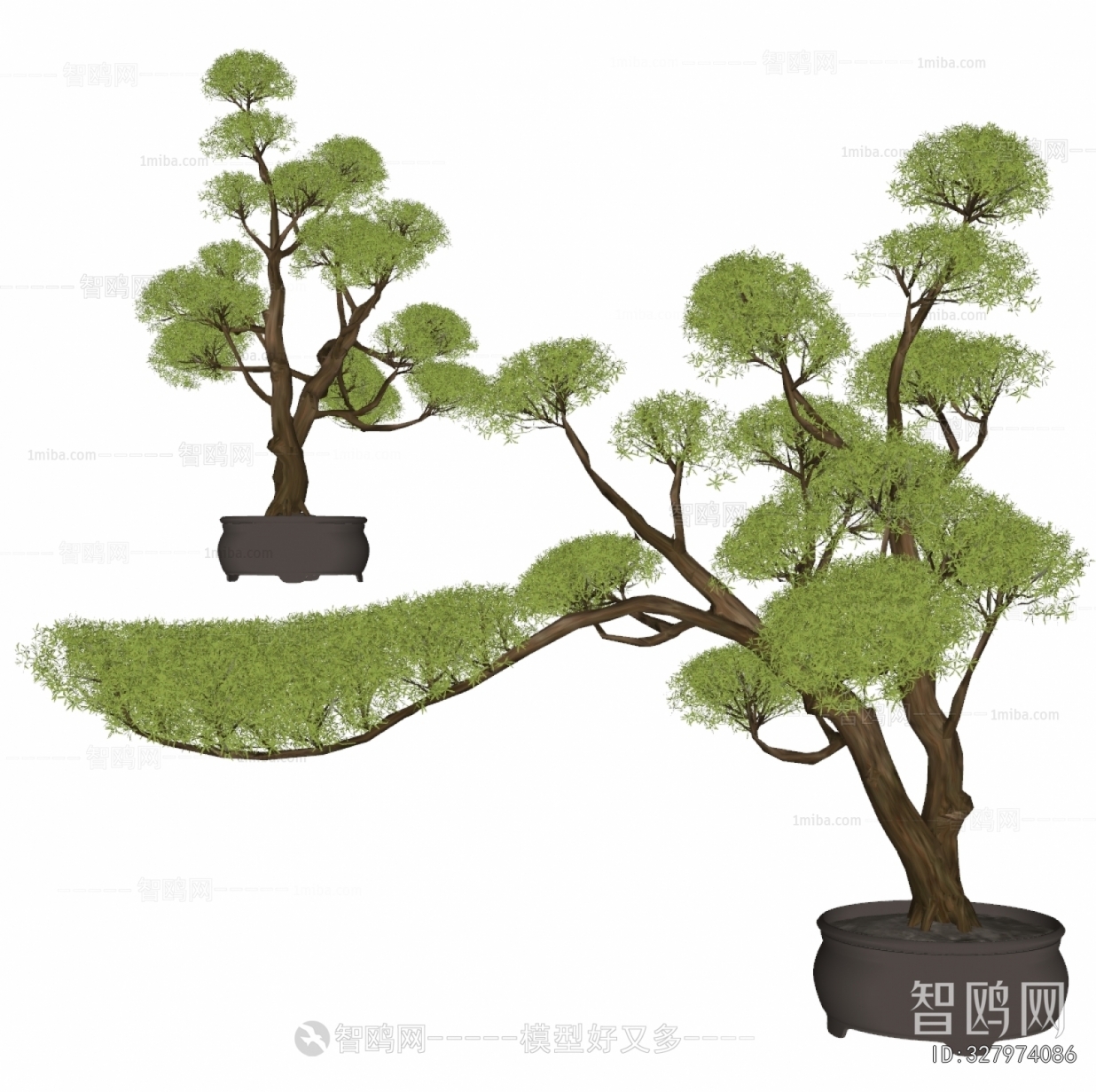 Modern Bonsai