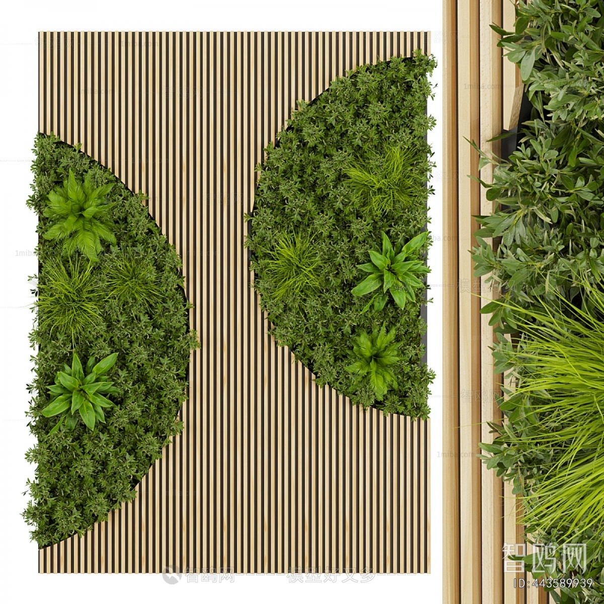 Modern Plant Wall