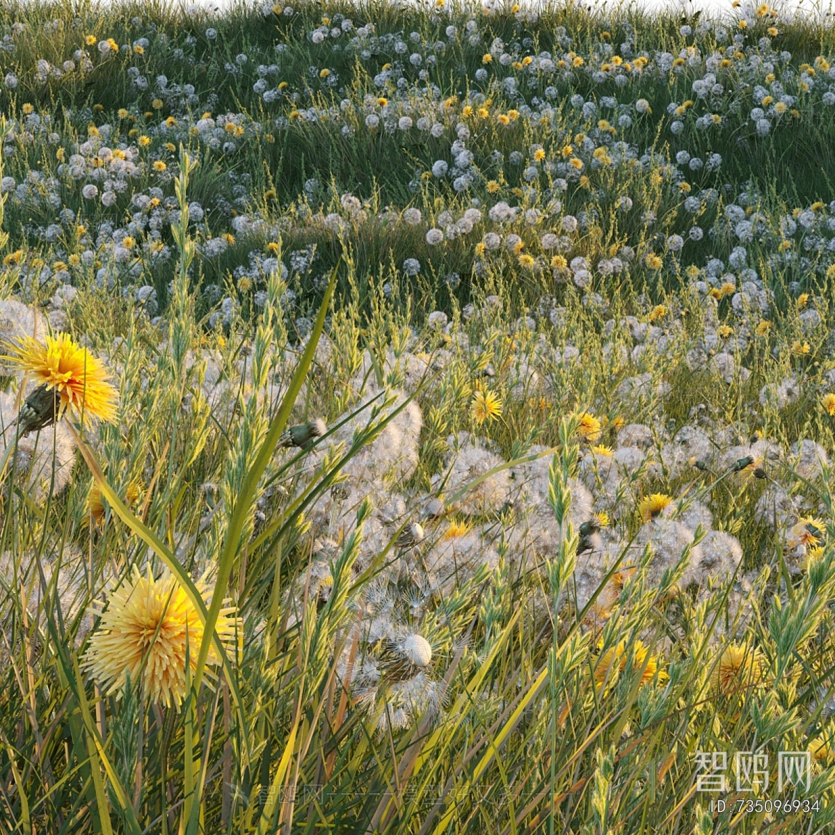 Modern Flowers And Grass