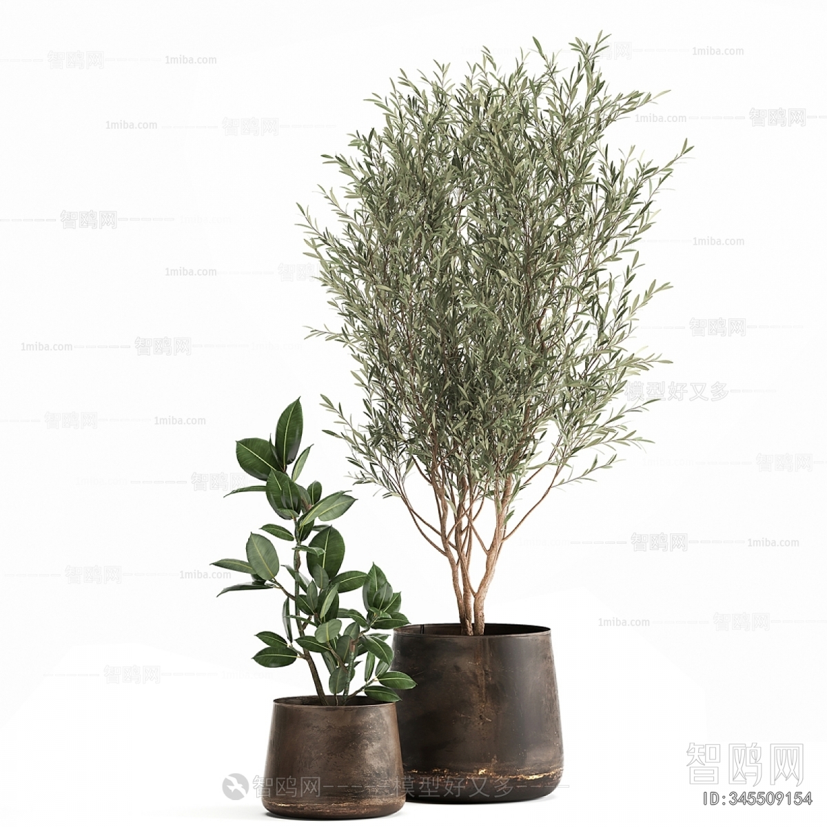 Modern Potted Green Plant