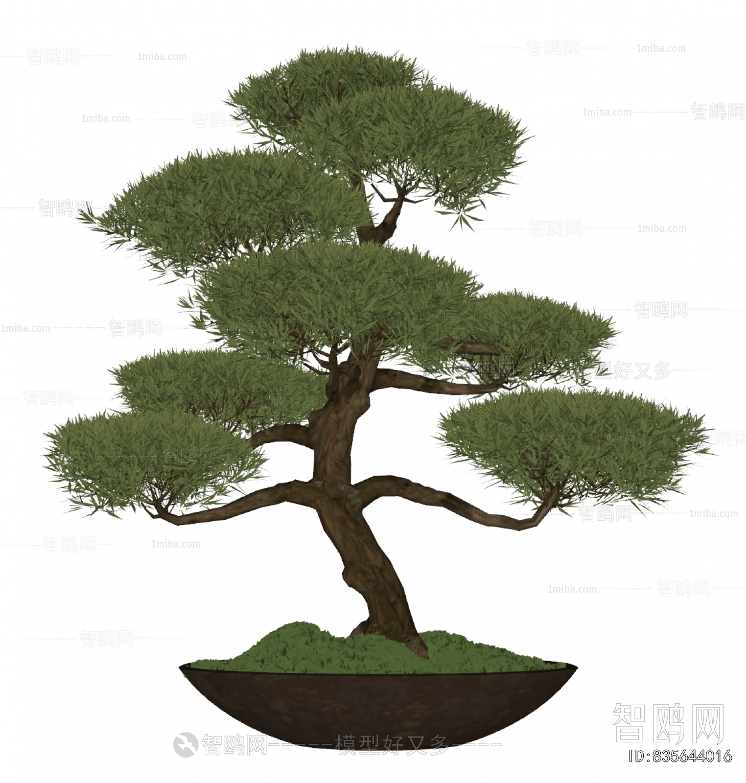 Modern Bonsai