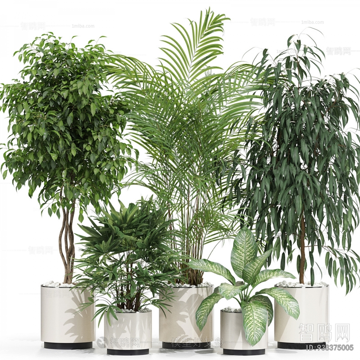 Modern Ground Green Plant Potted Plants