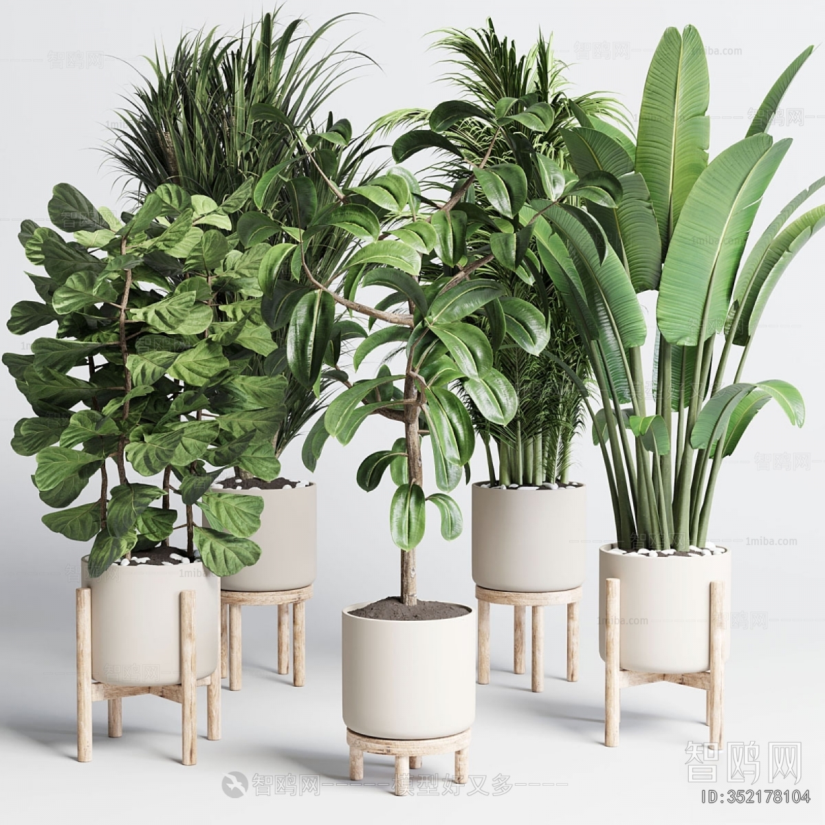 Modern Ground Green Plant Potted Plants