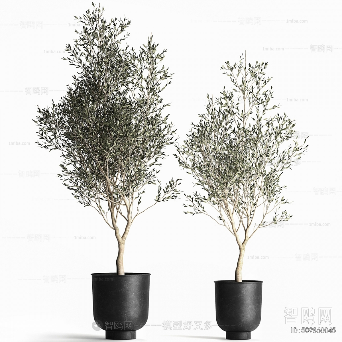 Modern Ground Green Plant Potted Plants