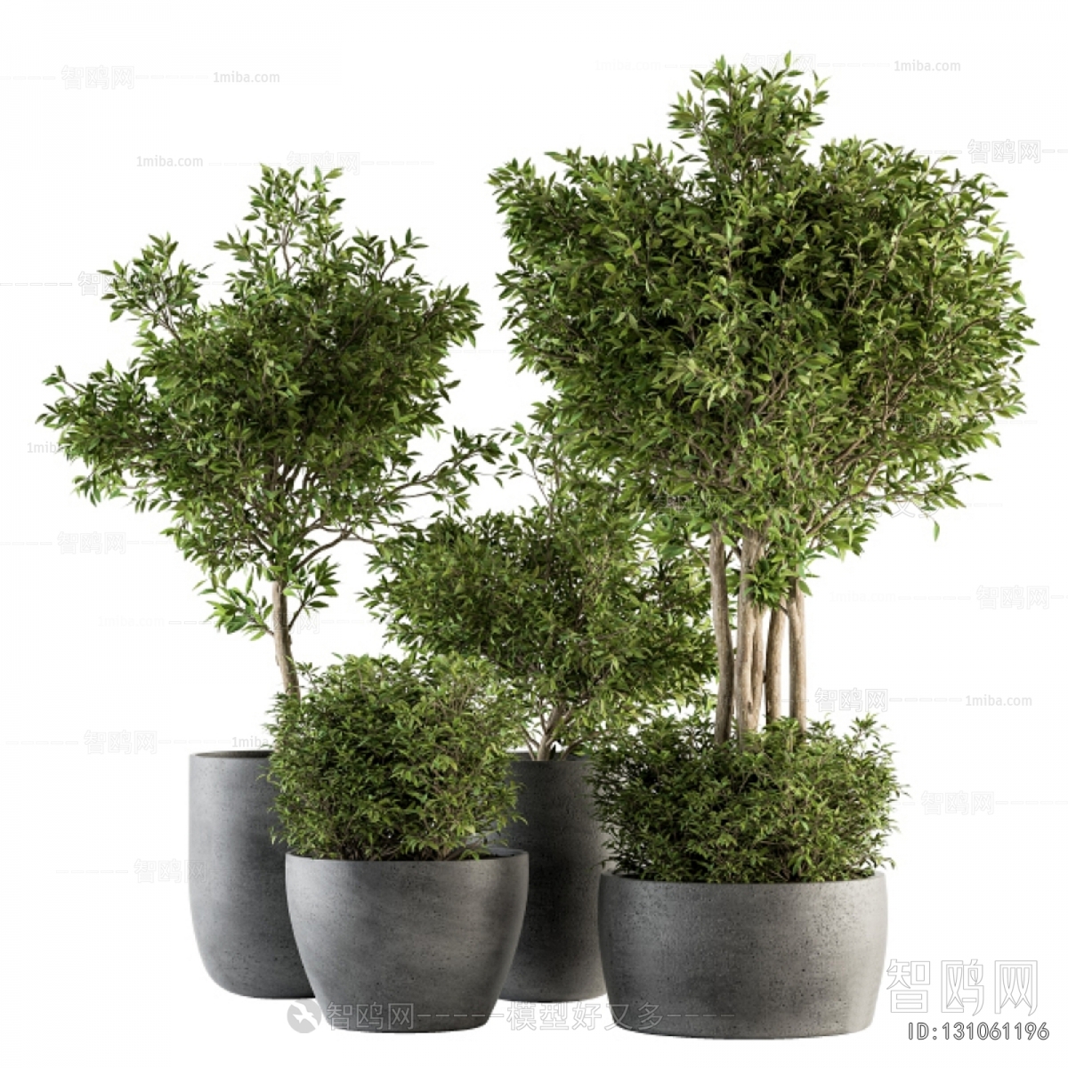 Modern Ground Green Plant Potted Plants