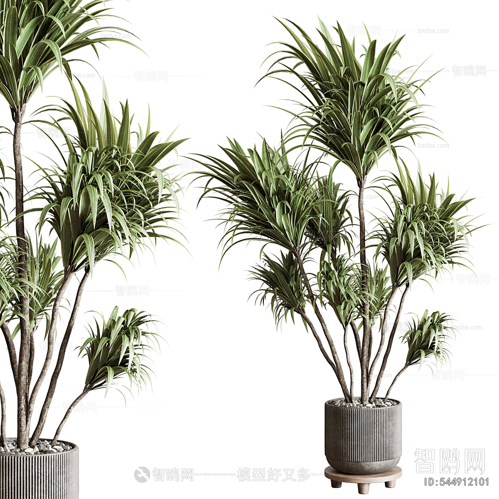 Modern Potted Green Plant