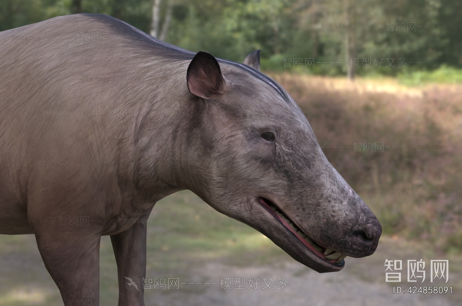 Modern Mammal