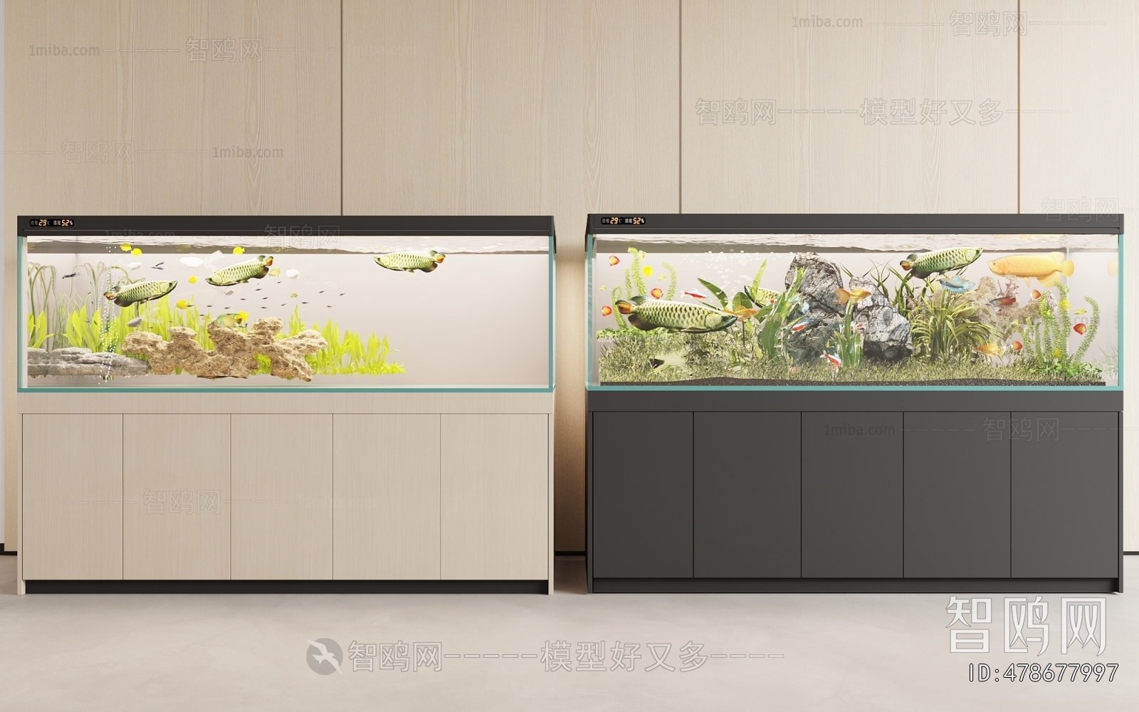 Modern Fish Tank