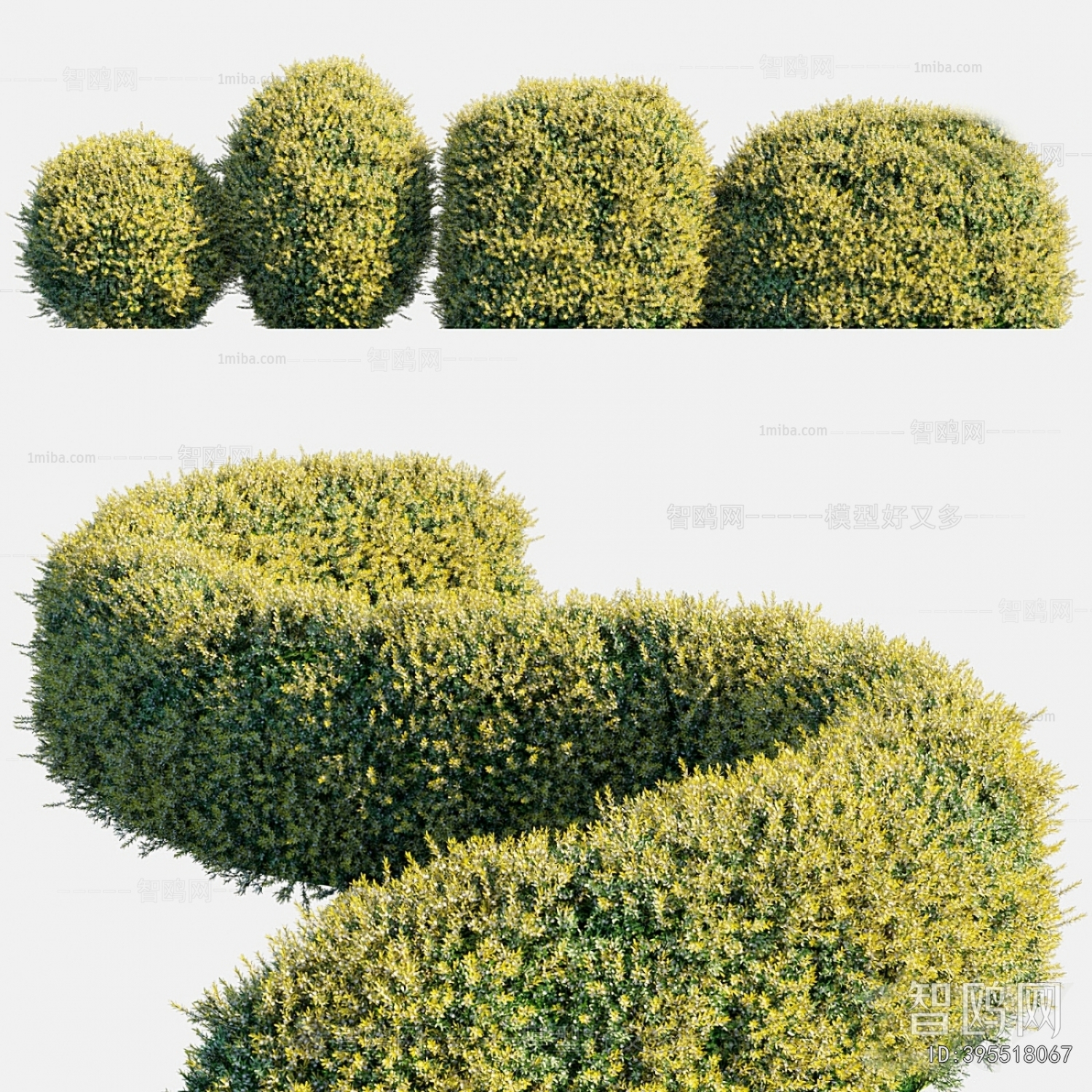 Modern Shrubbery