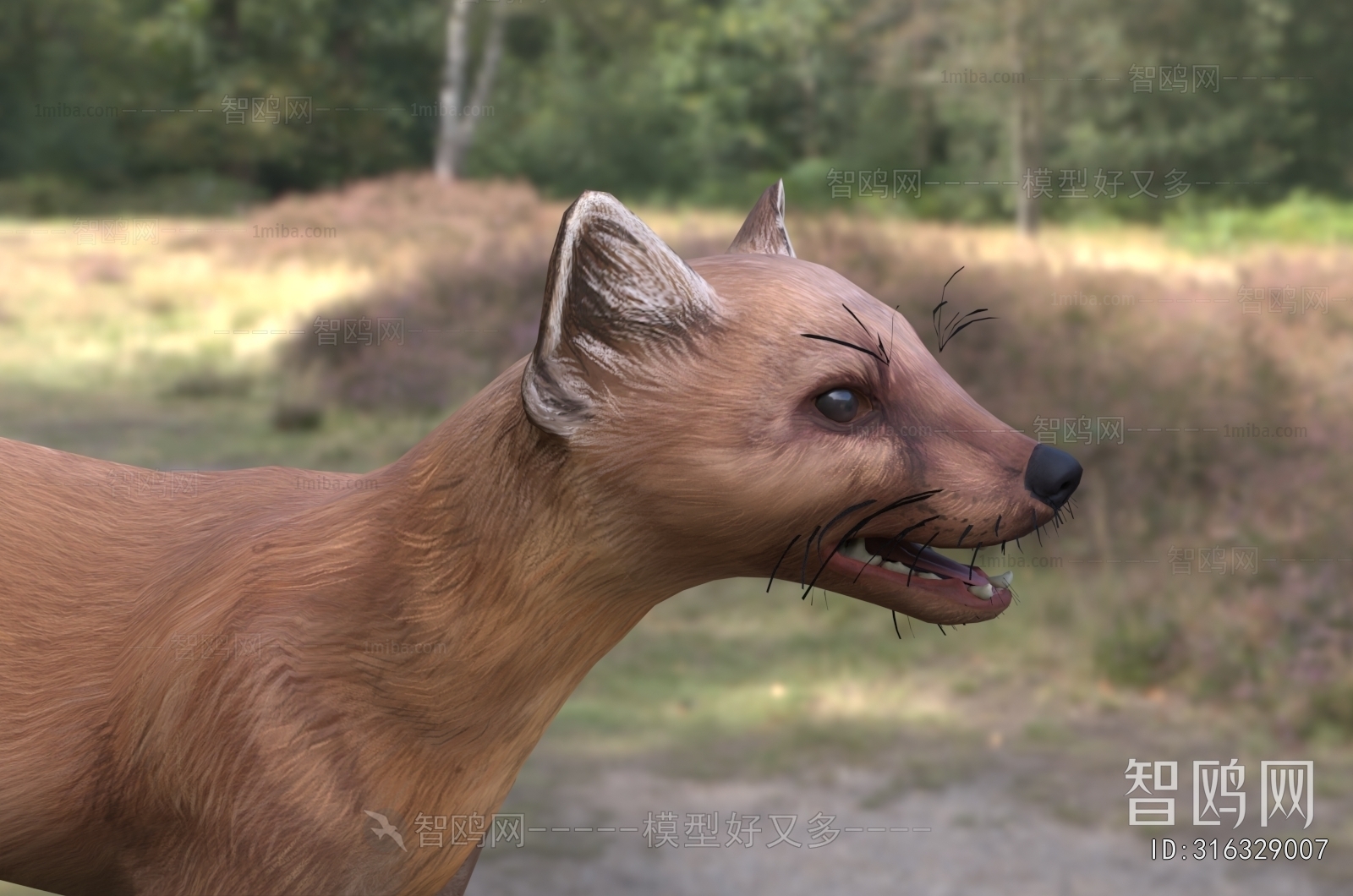 Modern Mammal