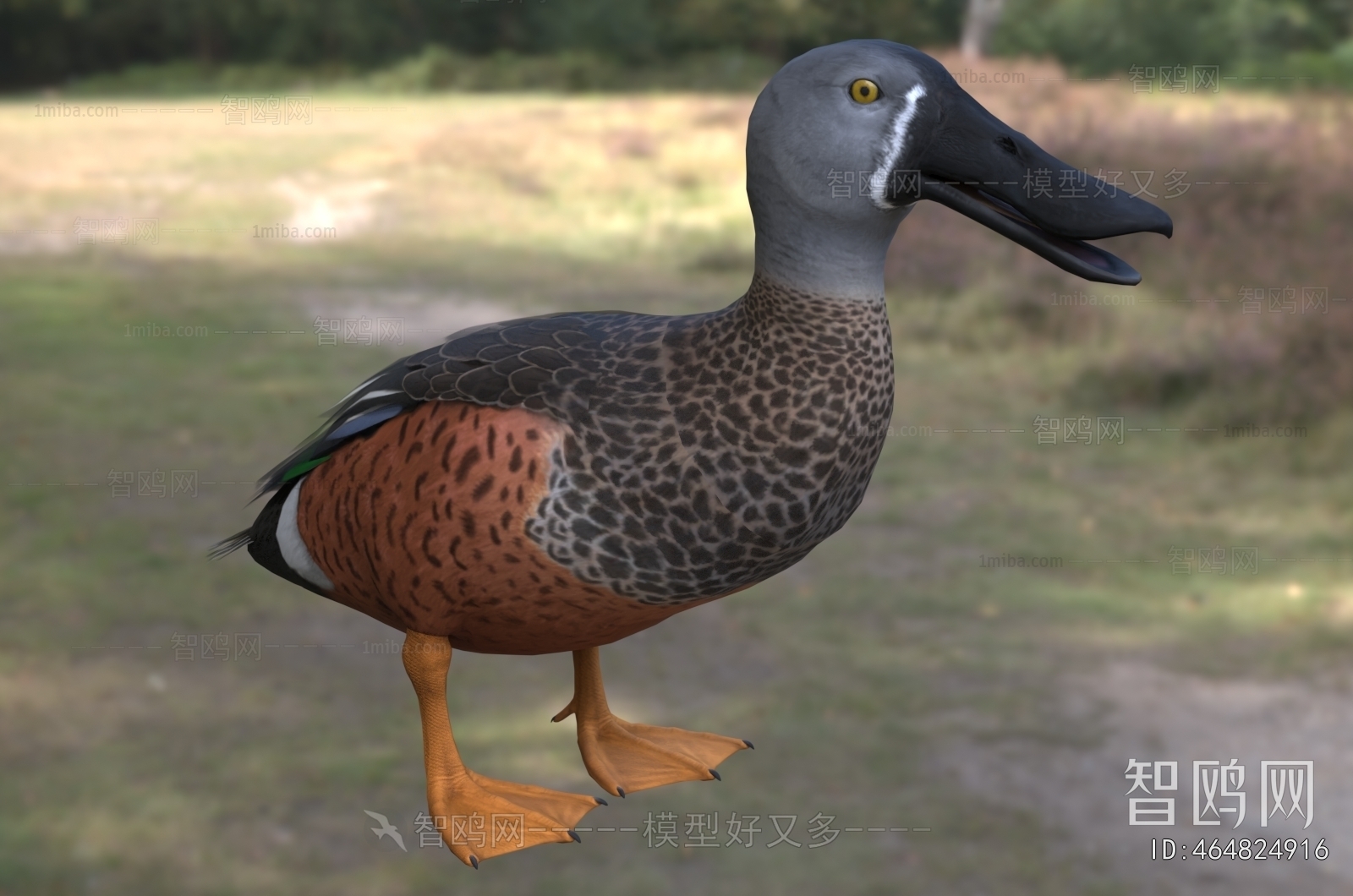 Modern Animal Duck