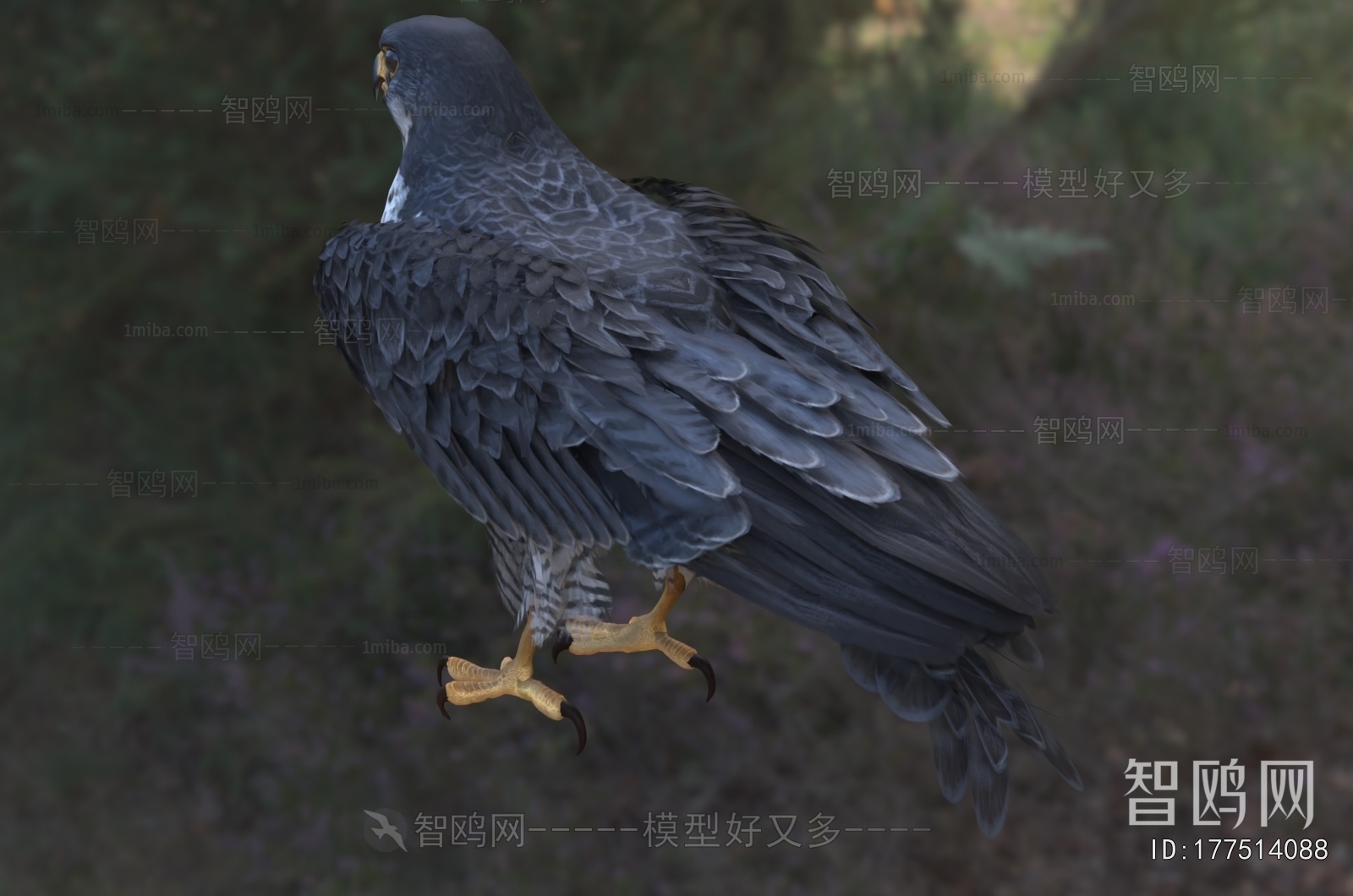 现代游隼花梨鹰