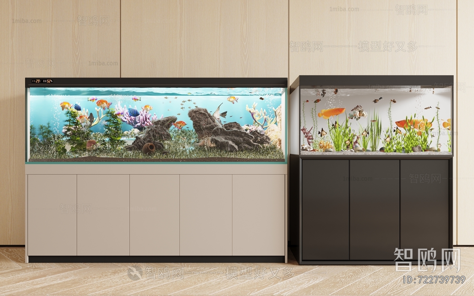 Modern Fish Tank