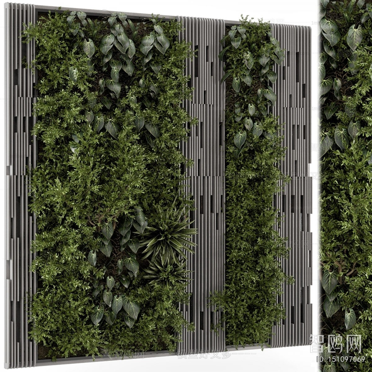Modern Plant Wall