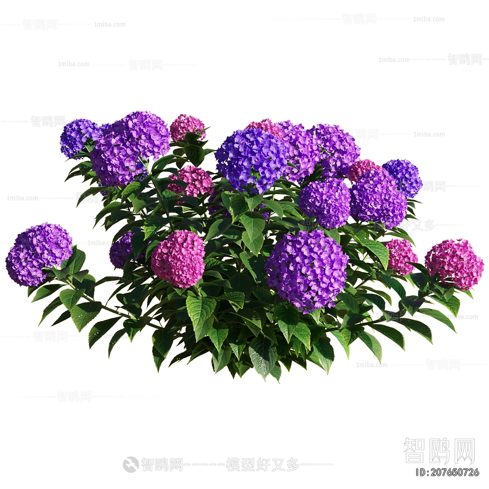 Modern Flowers And Grass