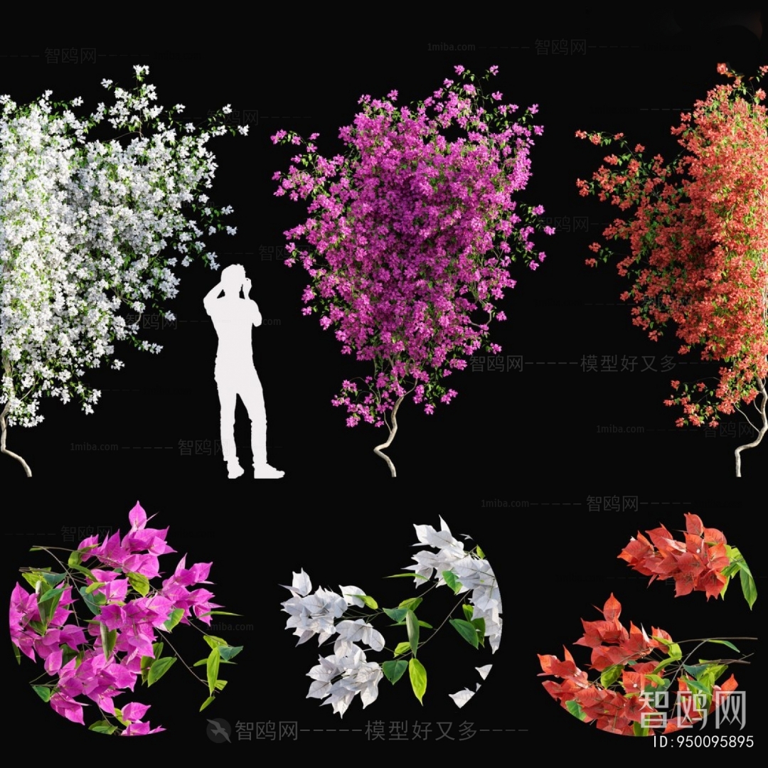 Modern Flowers And Grass