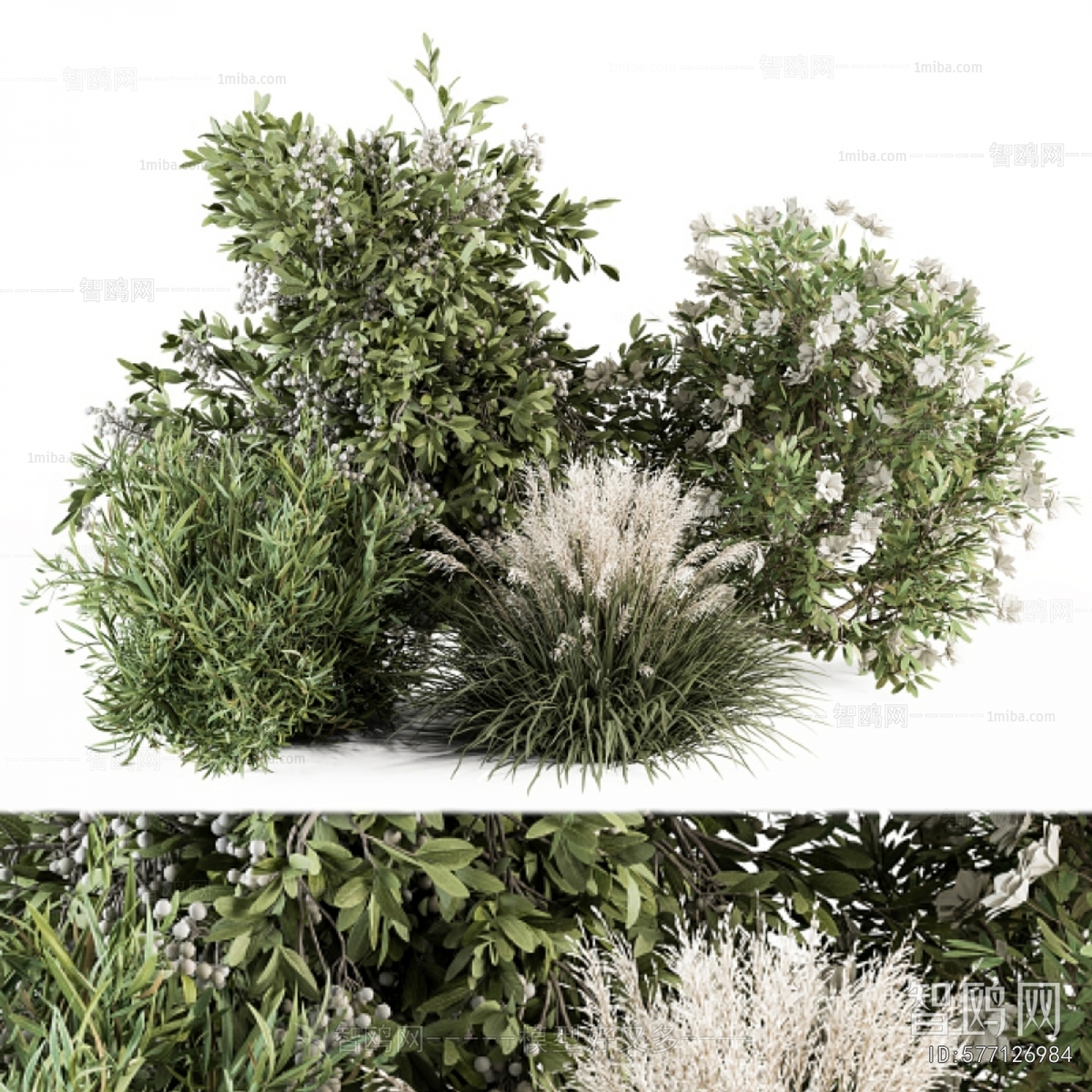 Modern Shrubbery