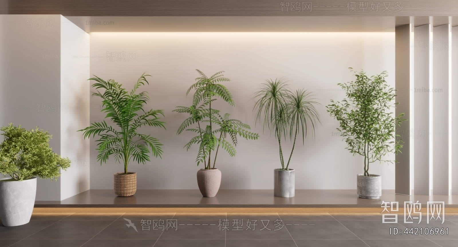 Modern Ground Green Plant Potted Plants