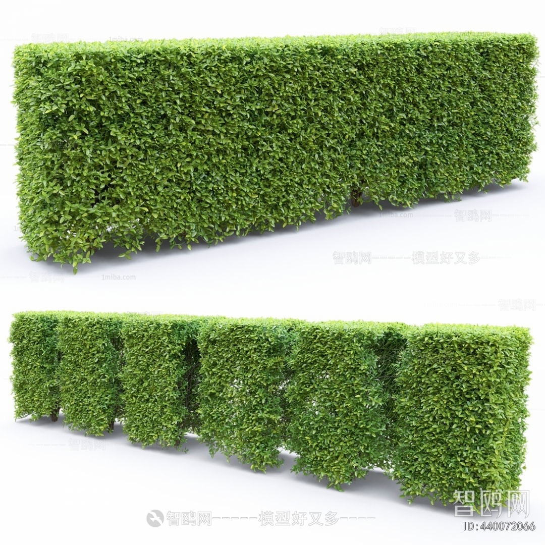 Modern Shrubbery