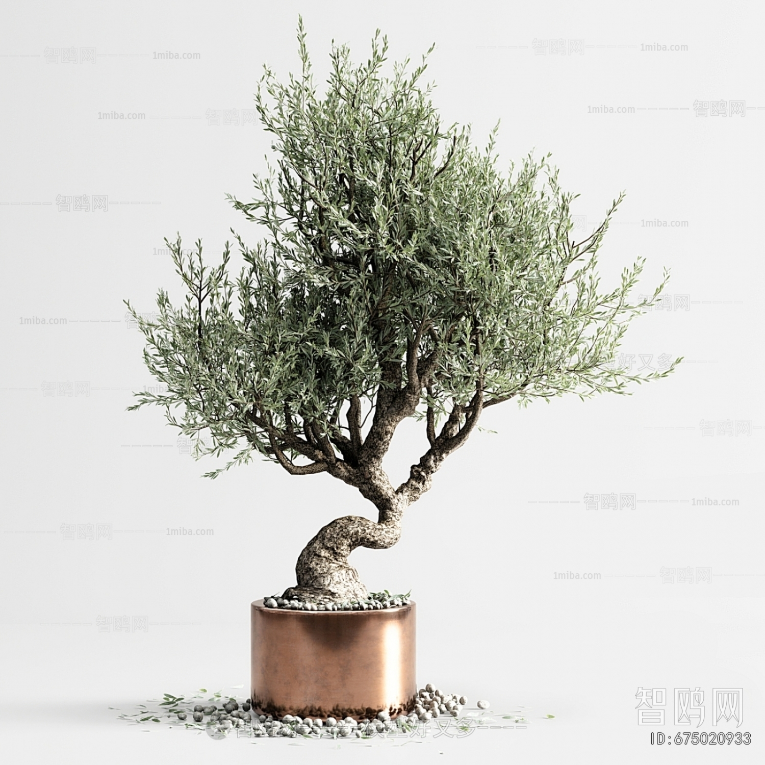 Modern Bonsai