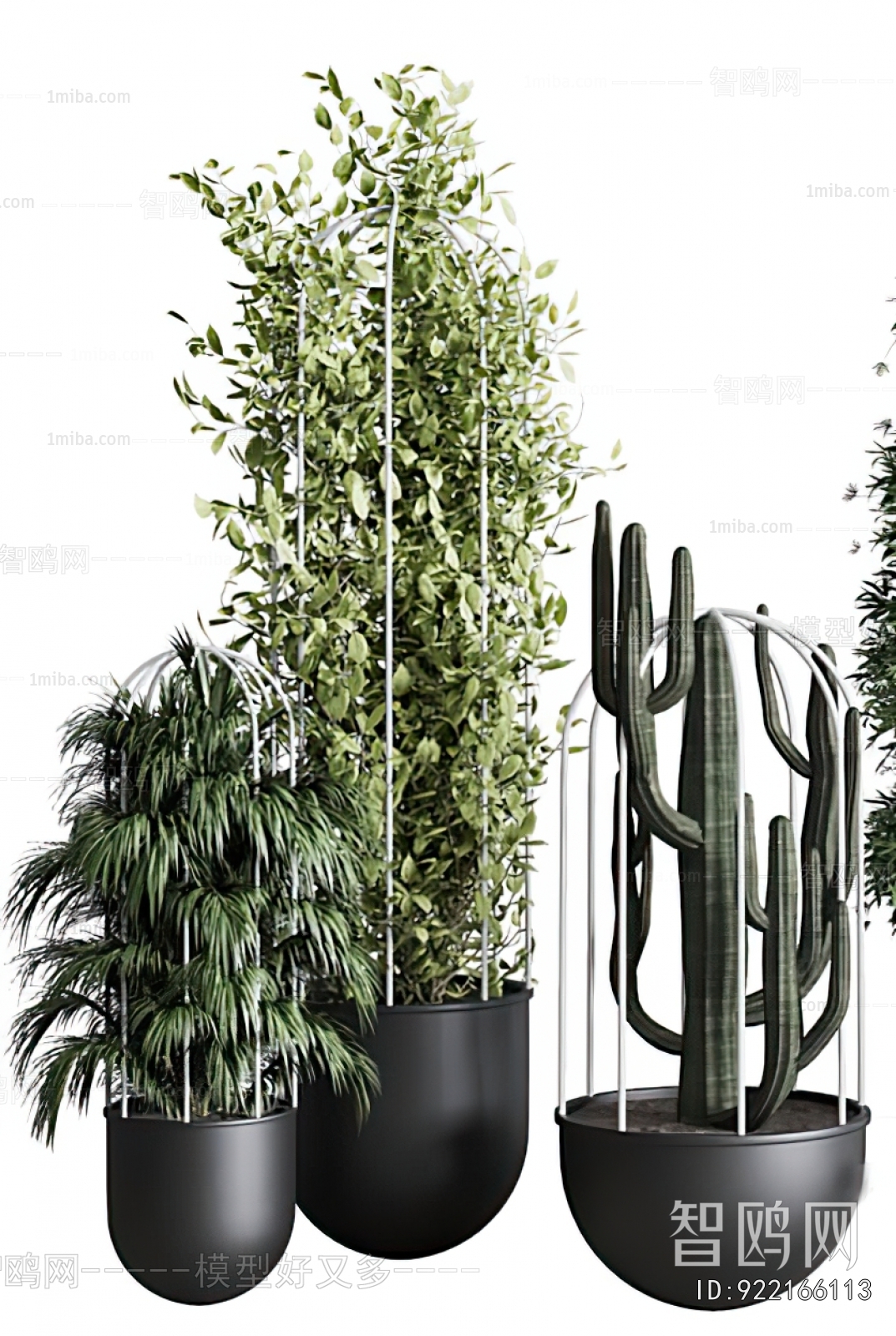 Modern Ground Green Plant Potted Plants