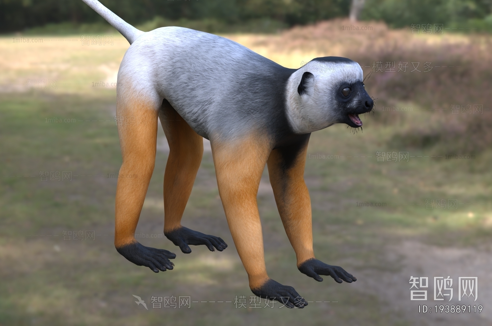 Modern Mammal