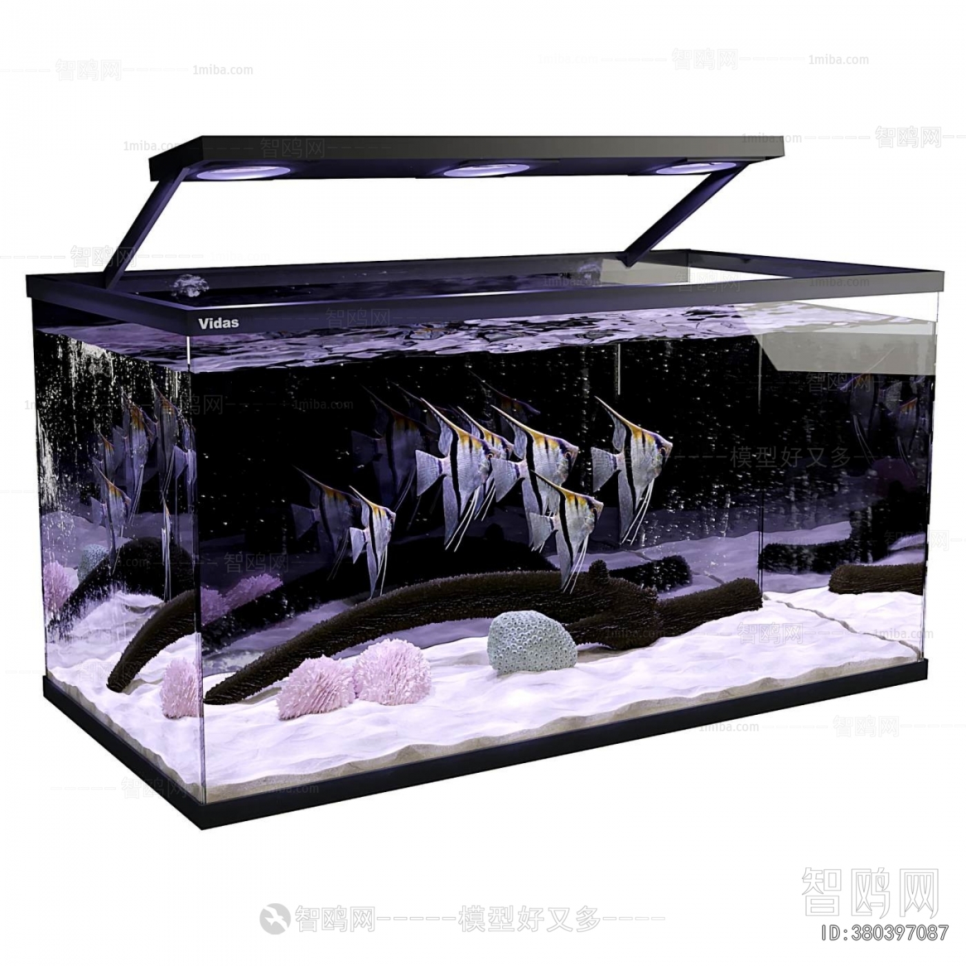 Modern Fish Tank