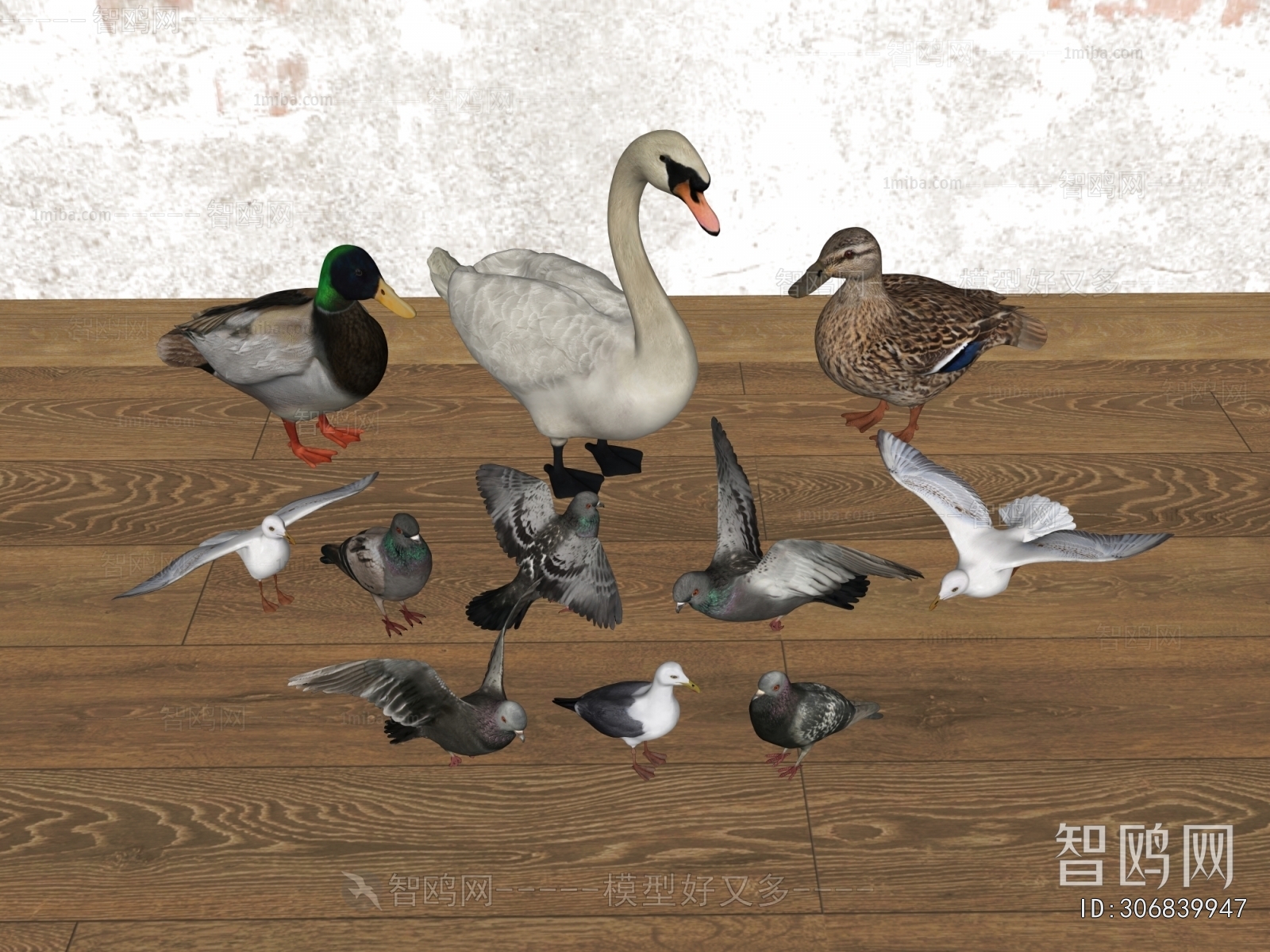 Modern Flying Animals