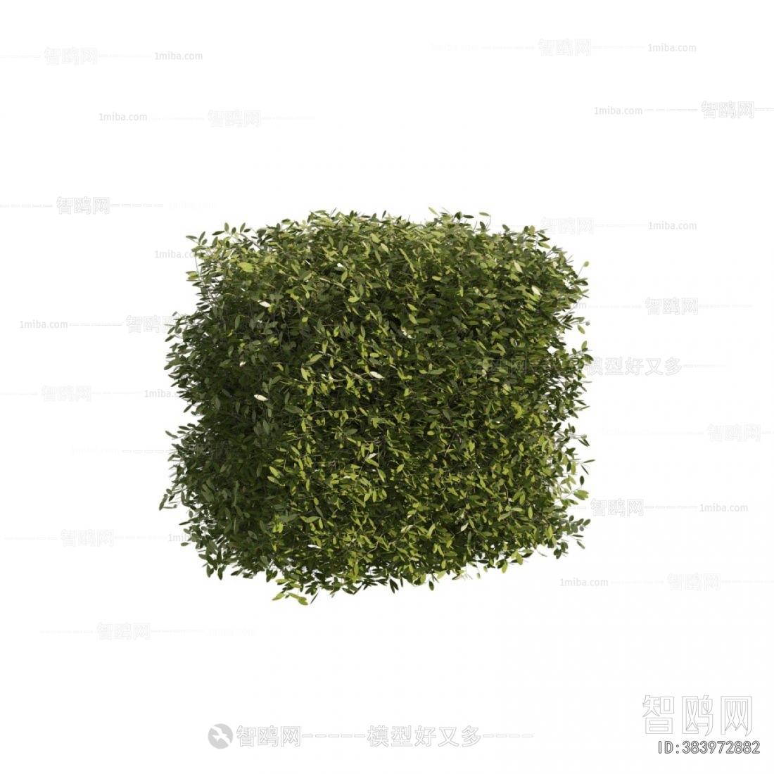 Modern Shrubbery