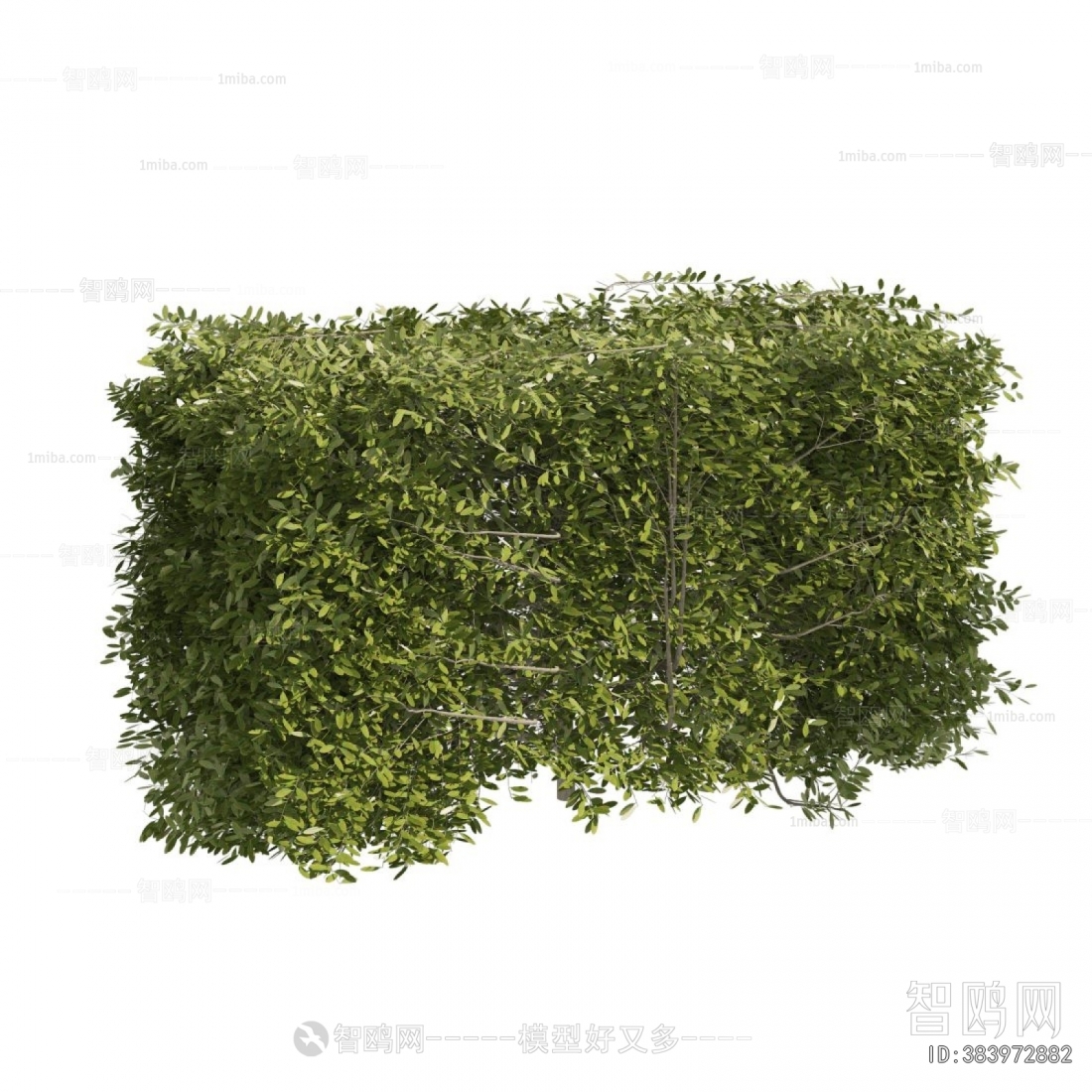 Modern Shrubbery