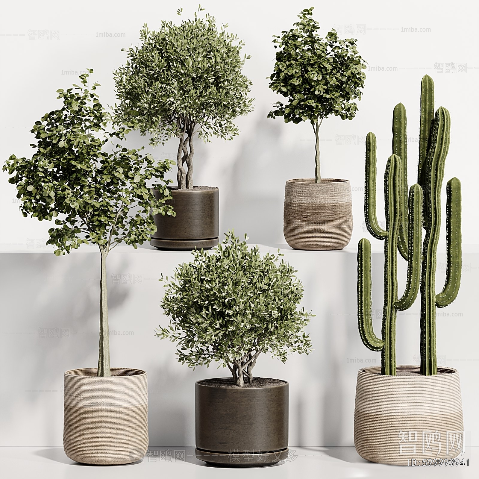 Modern Ground Green Plant Potted Plants