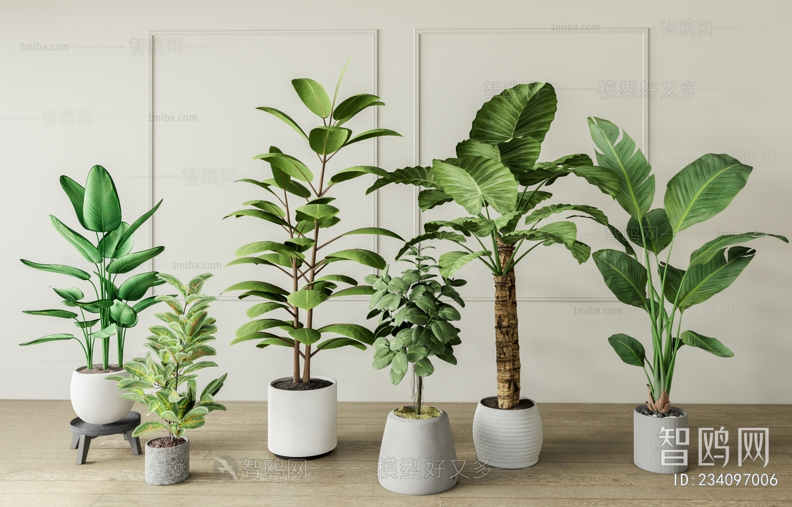 Modern Ground Green Plant Potted Plants