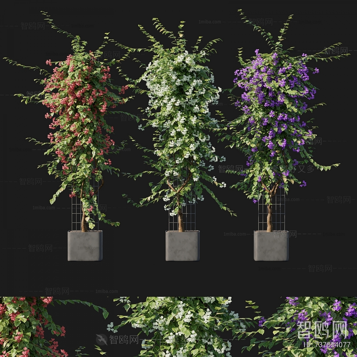 Modern Ground Green Plant Potted Plants