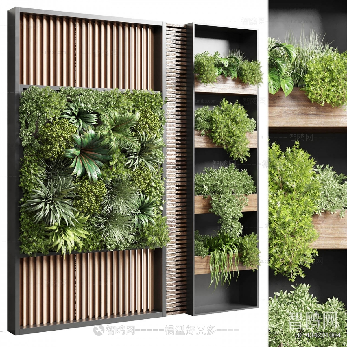 Modern Plant Wall