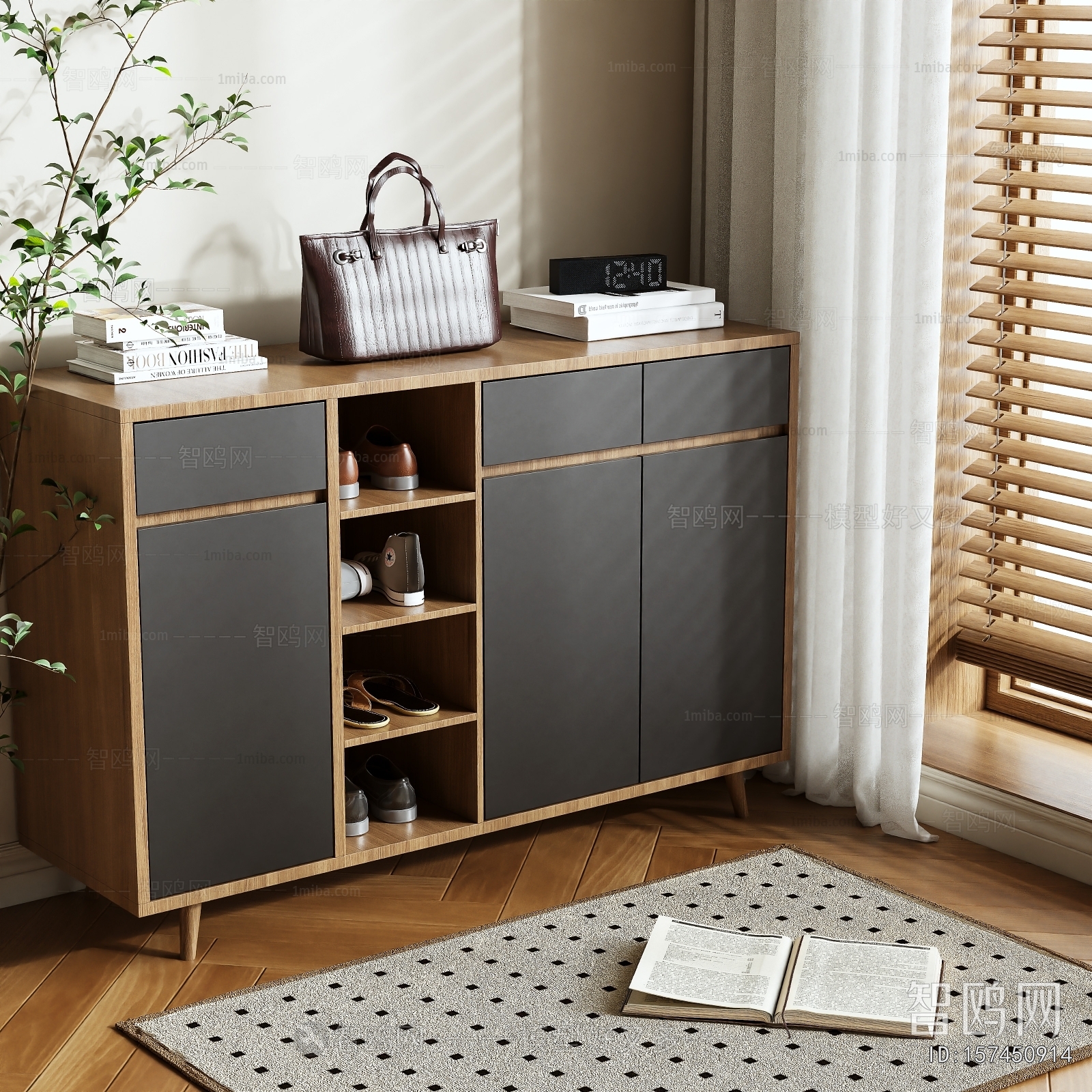 Modern Shoe Cabinet