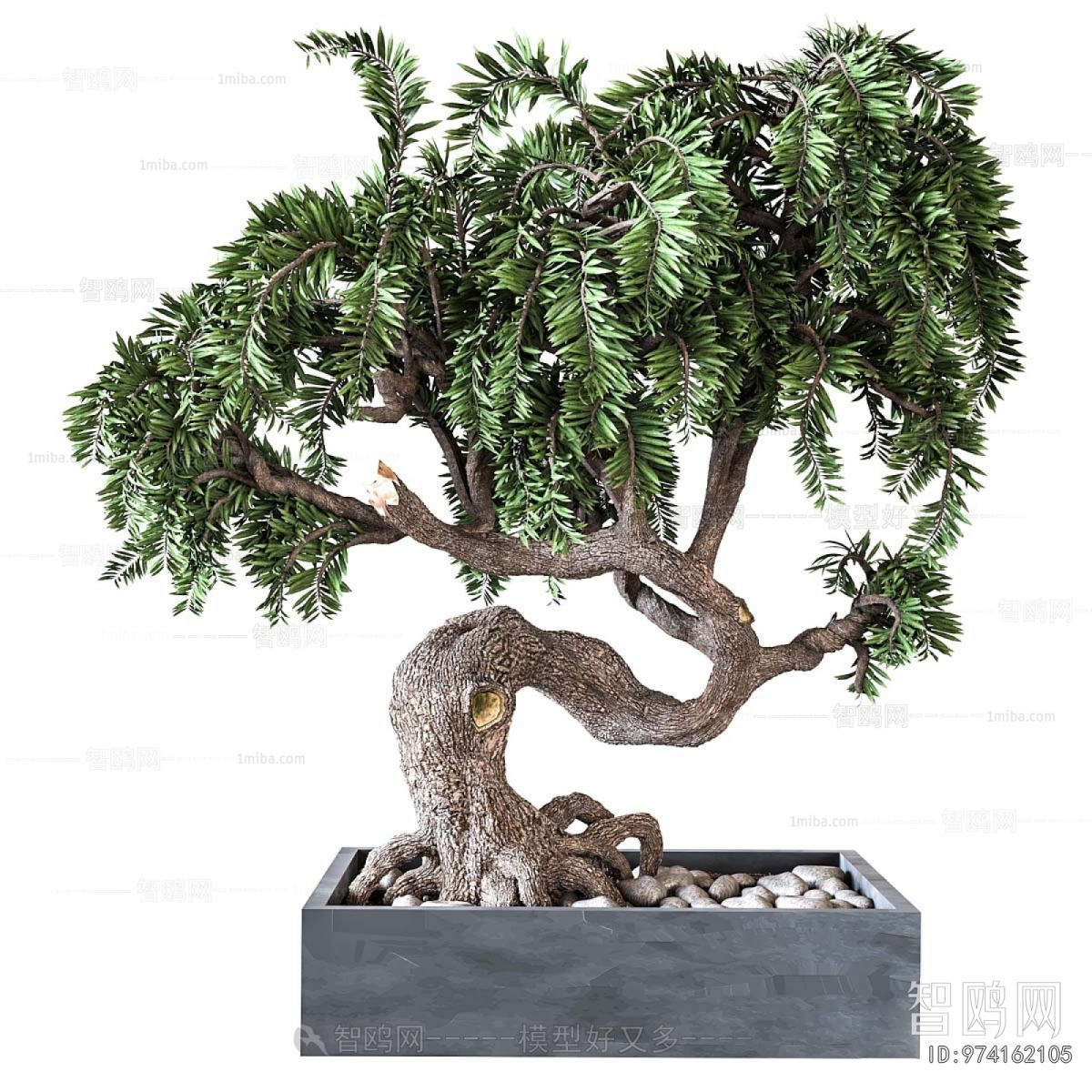 Modern Bonsai