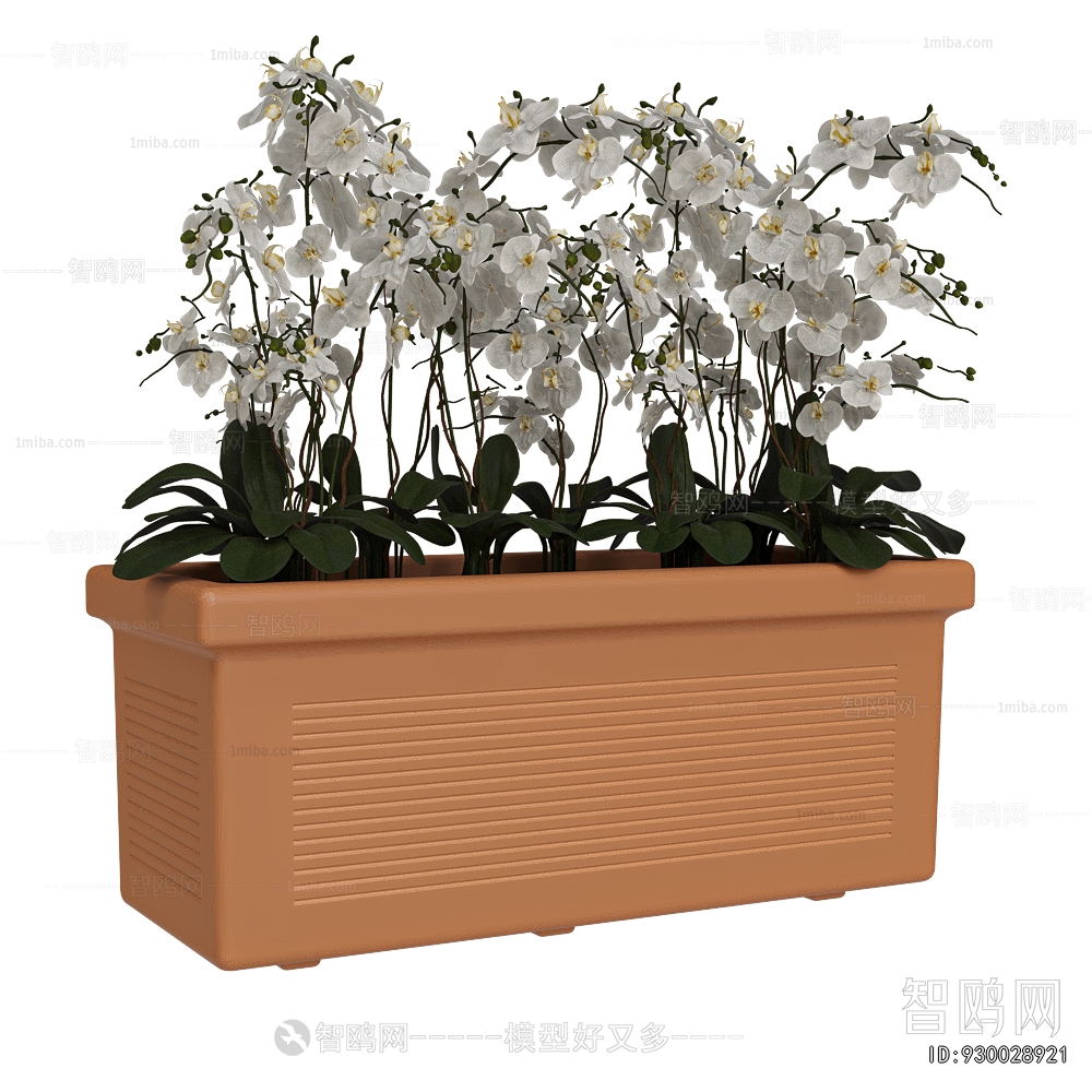 Modern Flower Bed, Flower Bowl, Flower Box