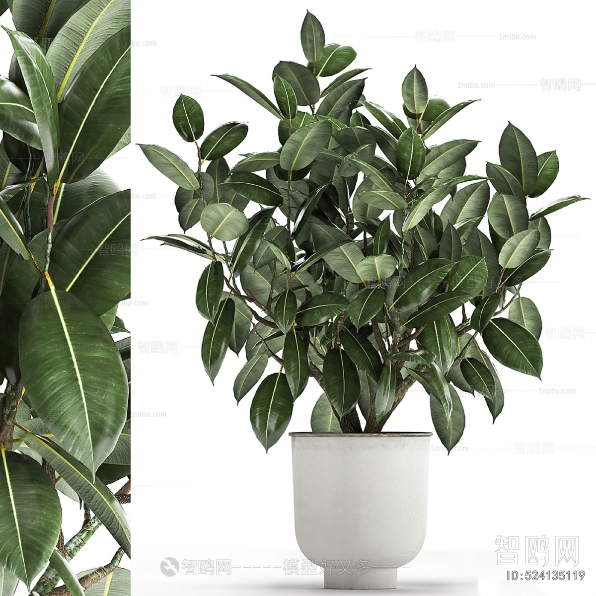 Modern Potted Green Plant