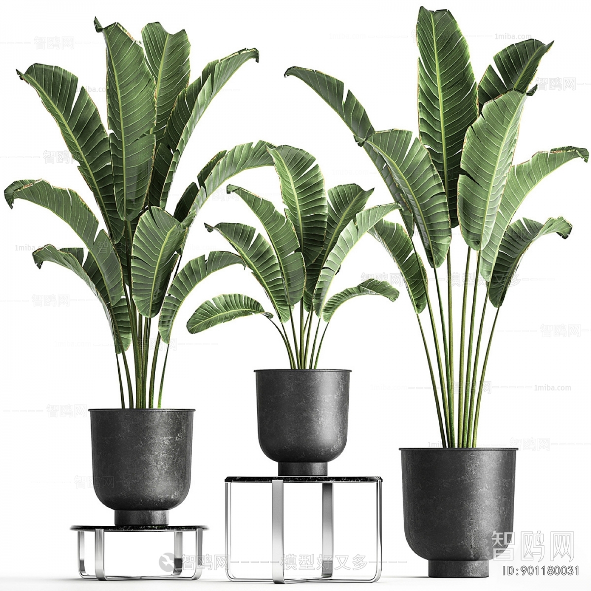 Modern Potted Green Plant