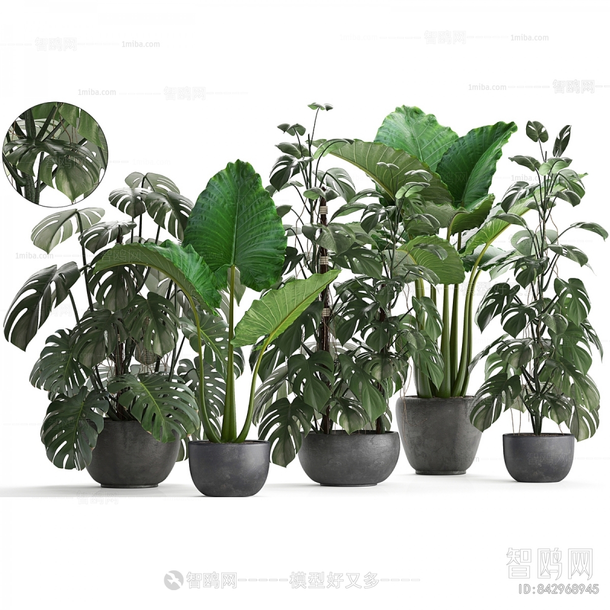 Modern Potted Green Plant