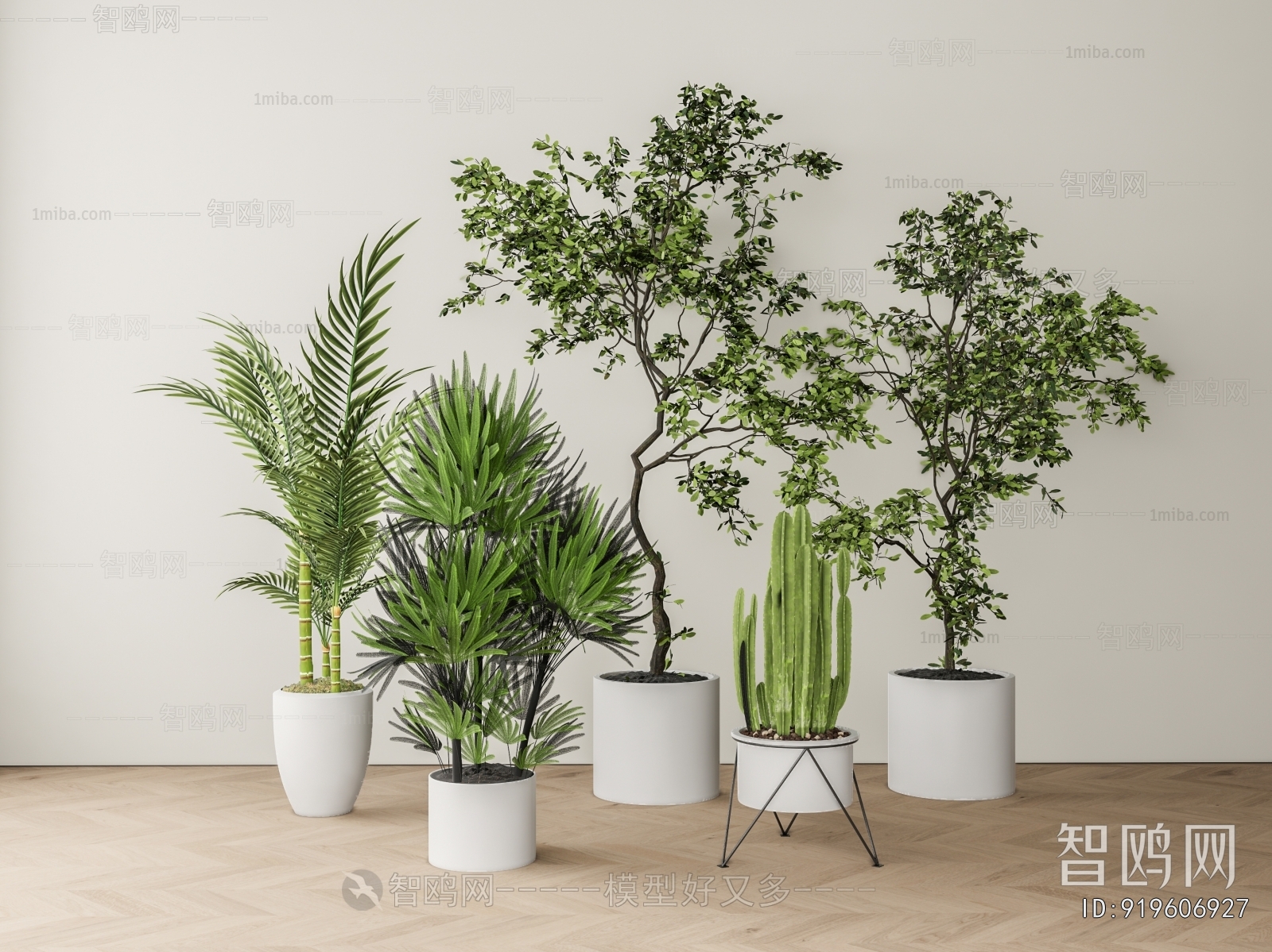 Modern Ground Green Plant Potted Plants