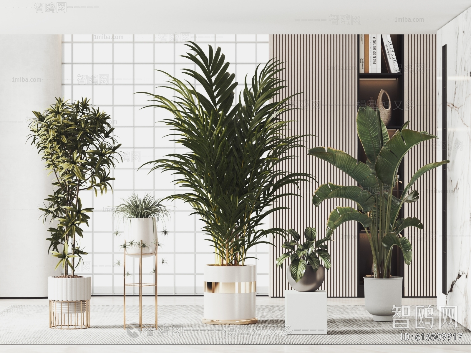 Modern Potted Green Plant