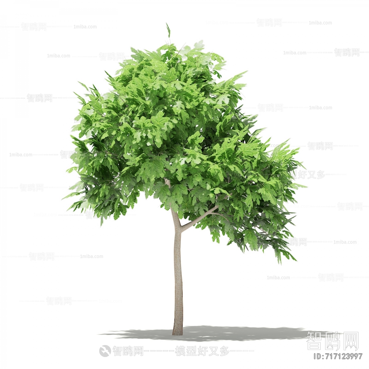 Modern Tree