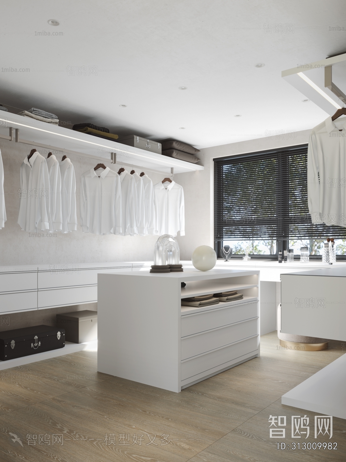 Modern Clothes Storage Area