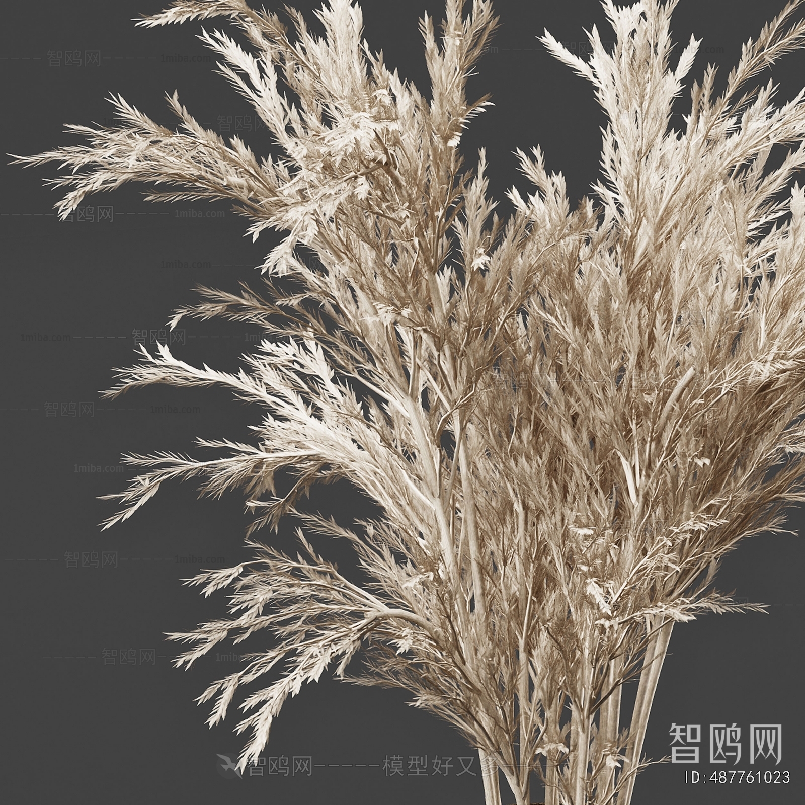 Wabi-sabi Style Dried Branch