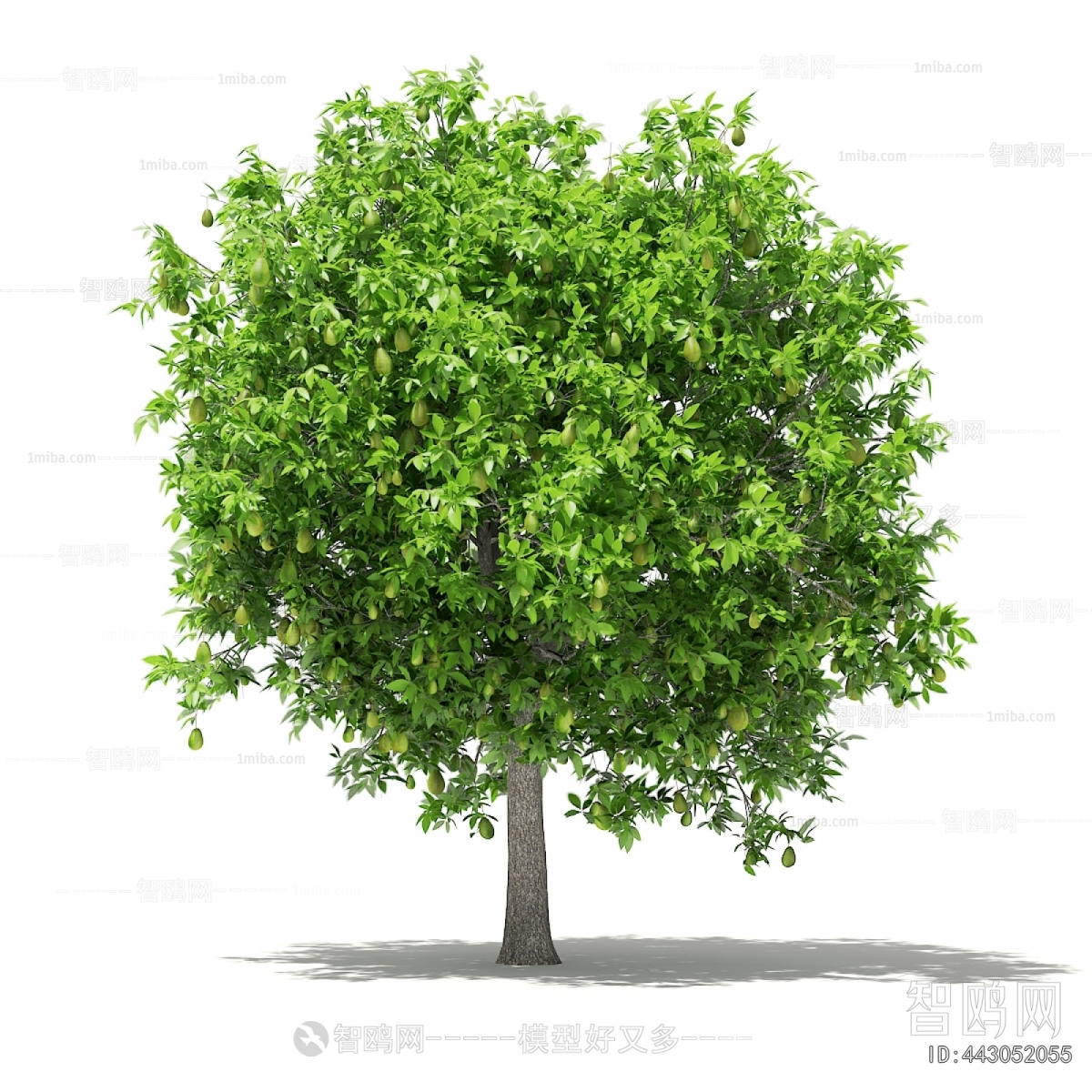 Modern Tree