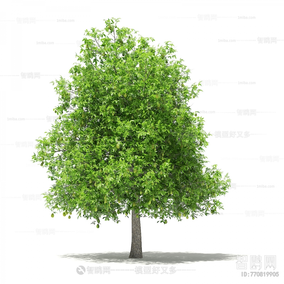 Modern Tree